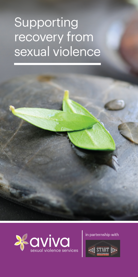leaves on a rock on Aviva Sexual Violence Brochure